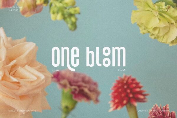 Sweet Lemonade - Sans Serif Font - Image 5