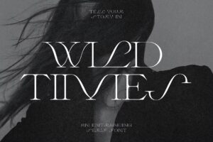 Wild Times - Serif Font