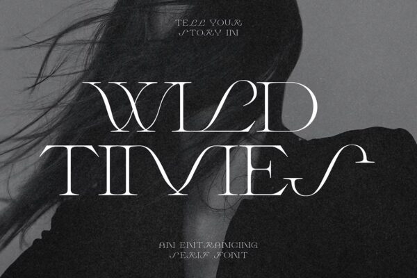 Wild Times - Serif Font