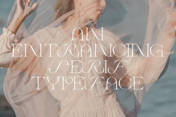 Wild Times - Serif Font - Image 2