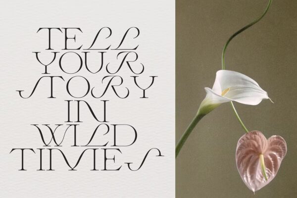 Wild Times - Serif Font - Image 3