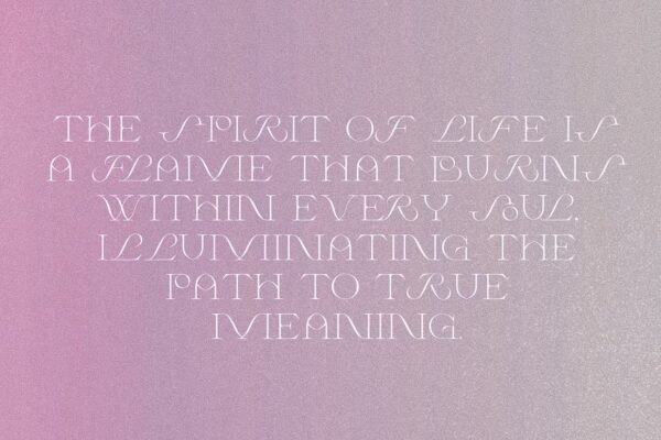 Wild Times - Serif Font - Image 5