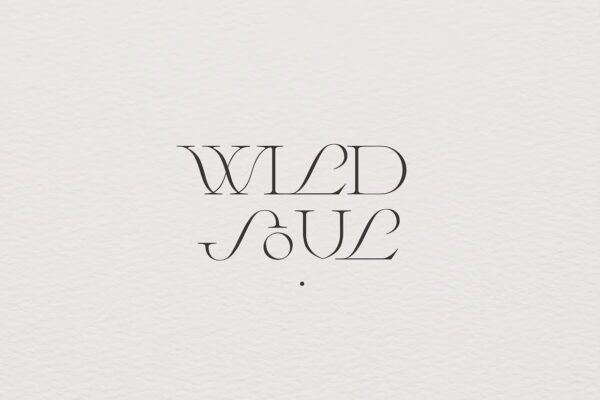Wild Times - Serif Font - Image 7