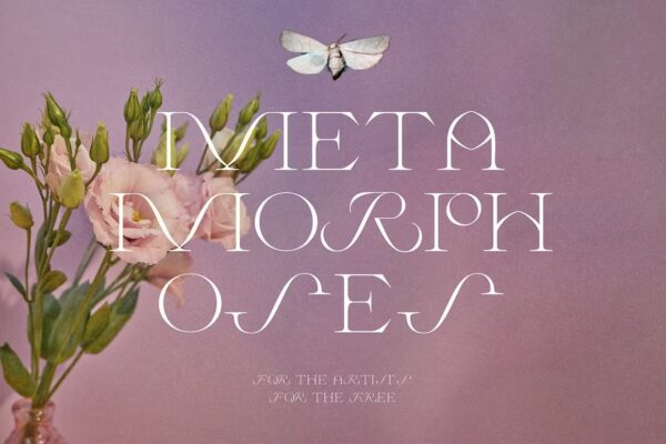 Wild Times - Serif Font - Image 8