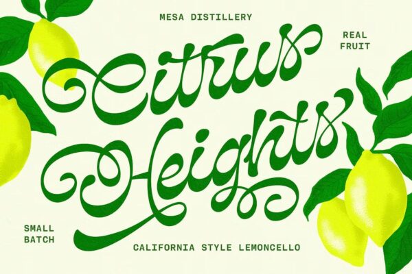 Prestino - Classy Script - Image 2