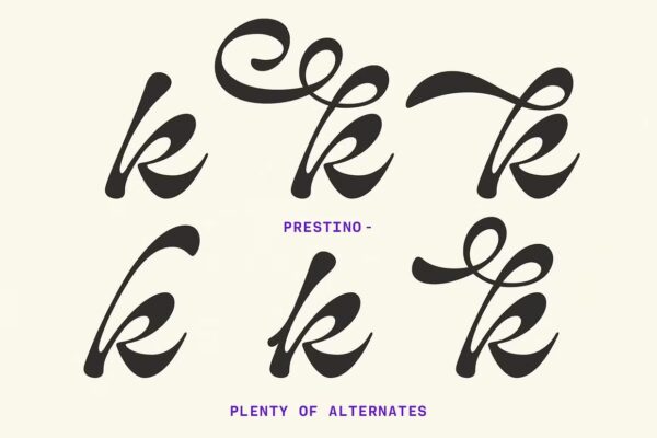 Prestino - Classy Script - Image 10