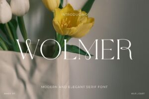 Wolmer - Modern And Elegant Serif