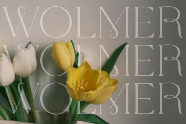 Wolmer - Modern And Elegant Serif - Image 5