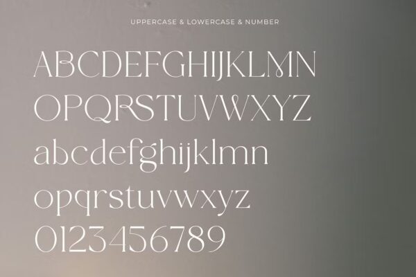 Wolmer - Modern And Elegant Serif - Image 9
