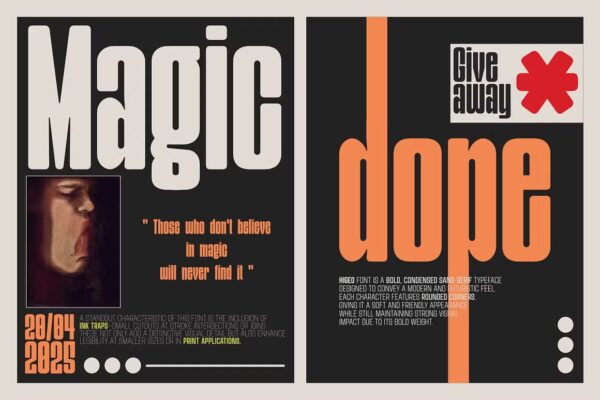 Higed - Sans Serif Font - Image 8