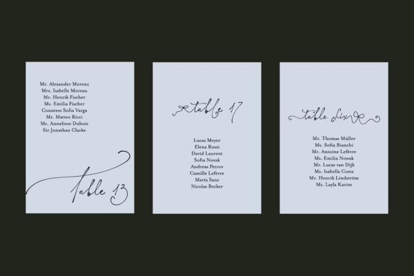 Elisabeth Darlington - Script Font - Image 10
