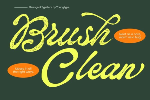 Flanogant - Script Font - Image 6
