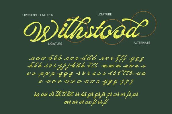 Flanogant - Script Font - Image 7