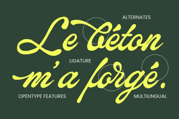 Flanogant - Script Font - Image 8