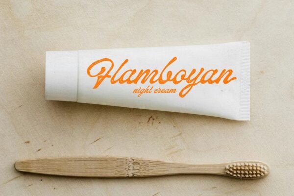 Flanogant - Script Font - Image 10