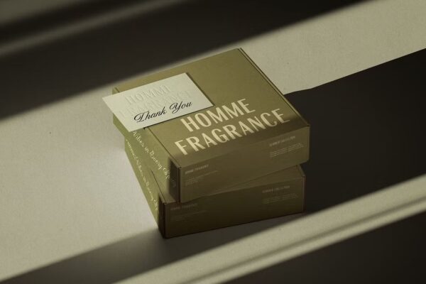 ED Venta Nueva - Script Font - Image 6
