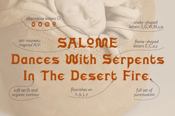 Salome Nomadic - Serif Font - Image 4