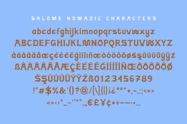 Salome Nomadic - Serif Font - Image 6