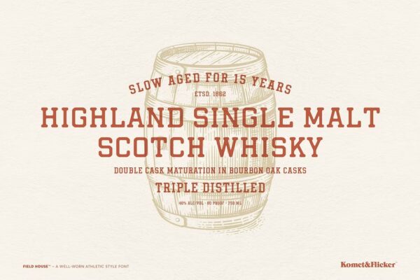 Field House – Sans Serif Font - Image 5