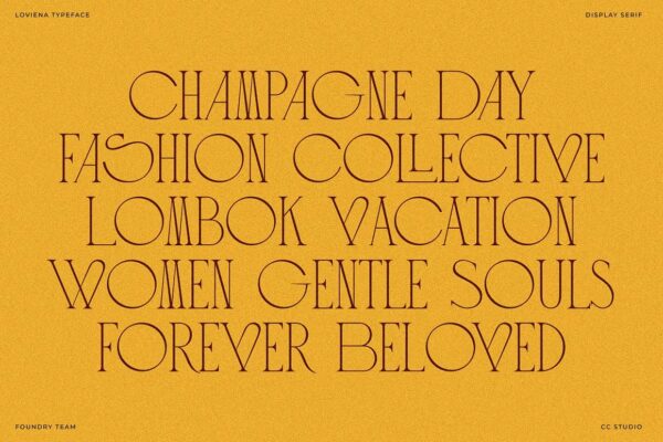 Loviena Rose - Sans Serif Font - Image 4