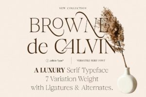 Browne de Calvin - Sans Serif Font