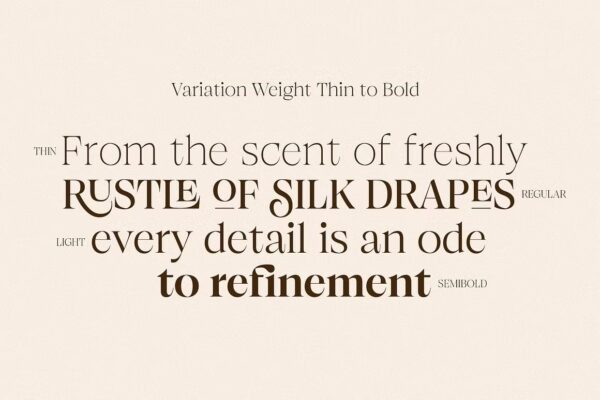 Browne de Calvin - Sans Serif Font - Image 3