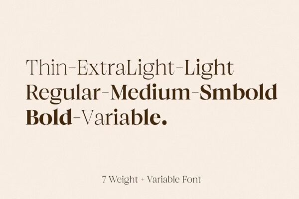 Browne de Calvin - Sans Serif Font - Image 4