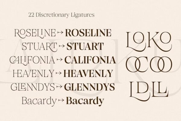 Browne de Calvin - Sans Serif Font - Image 5