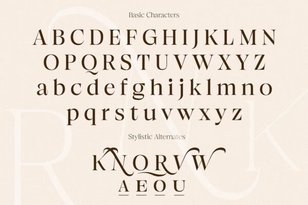 Browne de Calvin - Sans Serif Font - Image 8