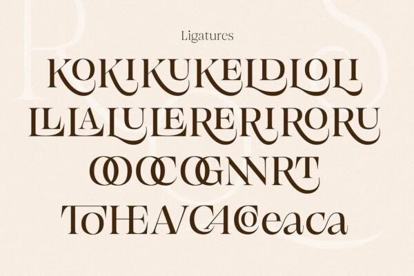Browne de Calvin - Sans Serif Font - Image 9