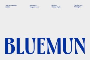 Bluemun - Sans Serif Font