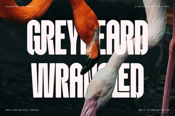 Knolt - Bold Ultra Sans Serif Font - Image 6