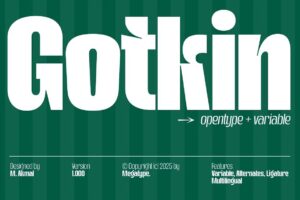 Gotkin - Sans Serif Font