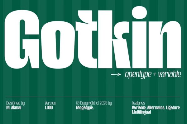 Gotkin - Sans Serif Font