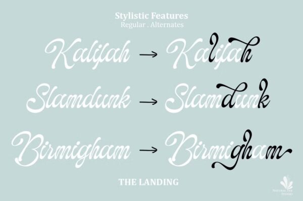 The Landing - Script Font - Image 6