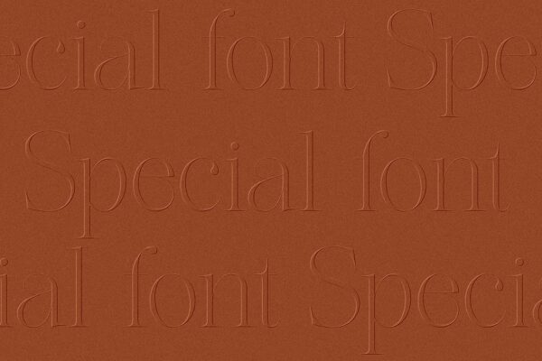 The Softly - Serif Font - Image 4
