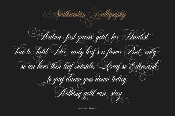 Southwestern - Script Font - Image 2