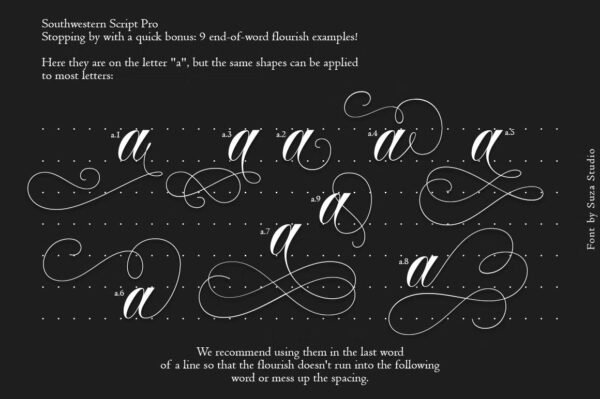 Southwestern - Script Font - Image 8