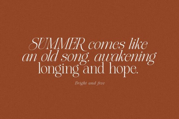 The Softly - Serif Font - Image 6