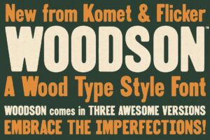 Woodson - Sans Serif Font