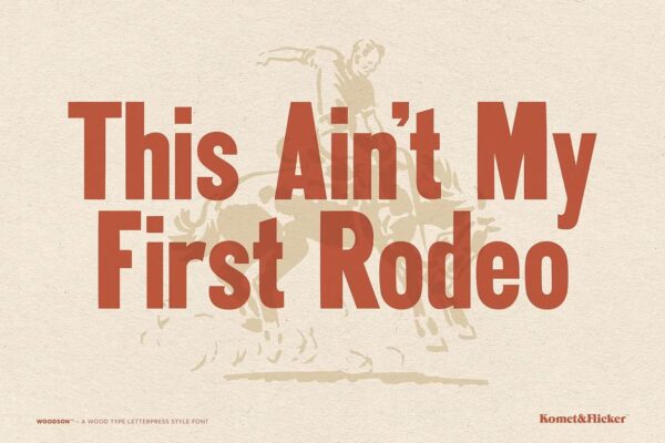 Woodson - Sans Serif Font - Image 7