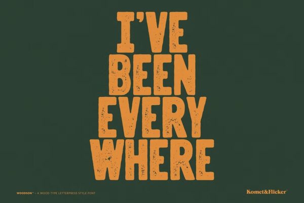 Woodson - Sans Serif Font - Image 8