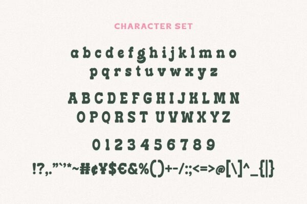 Holiday Mango - Sans Serif Font - Image 8