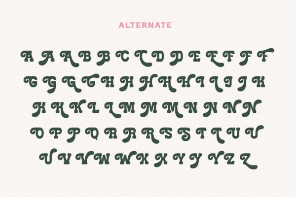 Holiday Mango - Sans Serif Font - Image 9