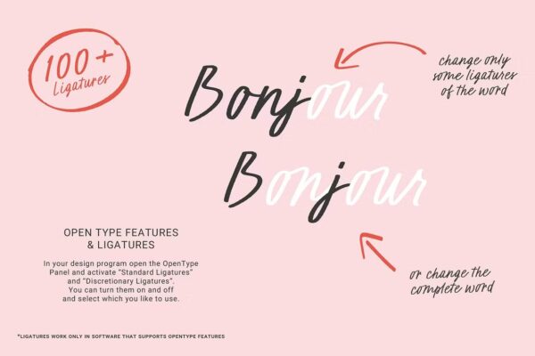 Rouge +Blush - Script Font - Image 9