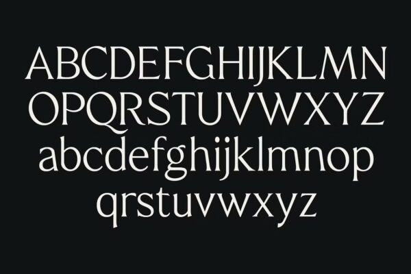 Quine - Sans Serif Font - Image 9