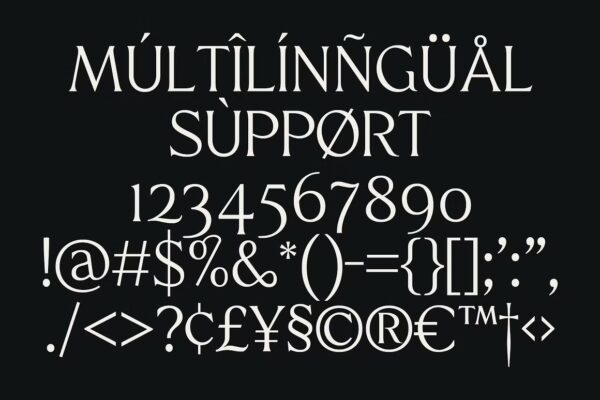 Quine - Sans Serif Font - Image 10