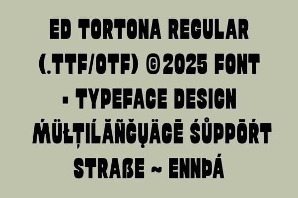 ED Tortona - Sans Serif Font - Image 9