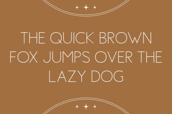 Cinnamon - Sans Serif Font - Image 8