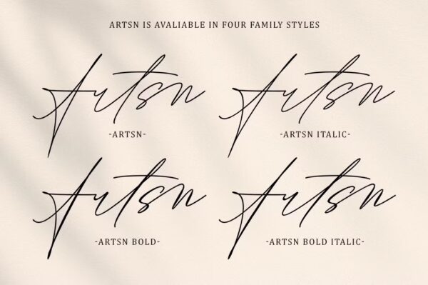 Artsn - Script Pro Font - Image 3